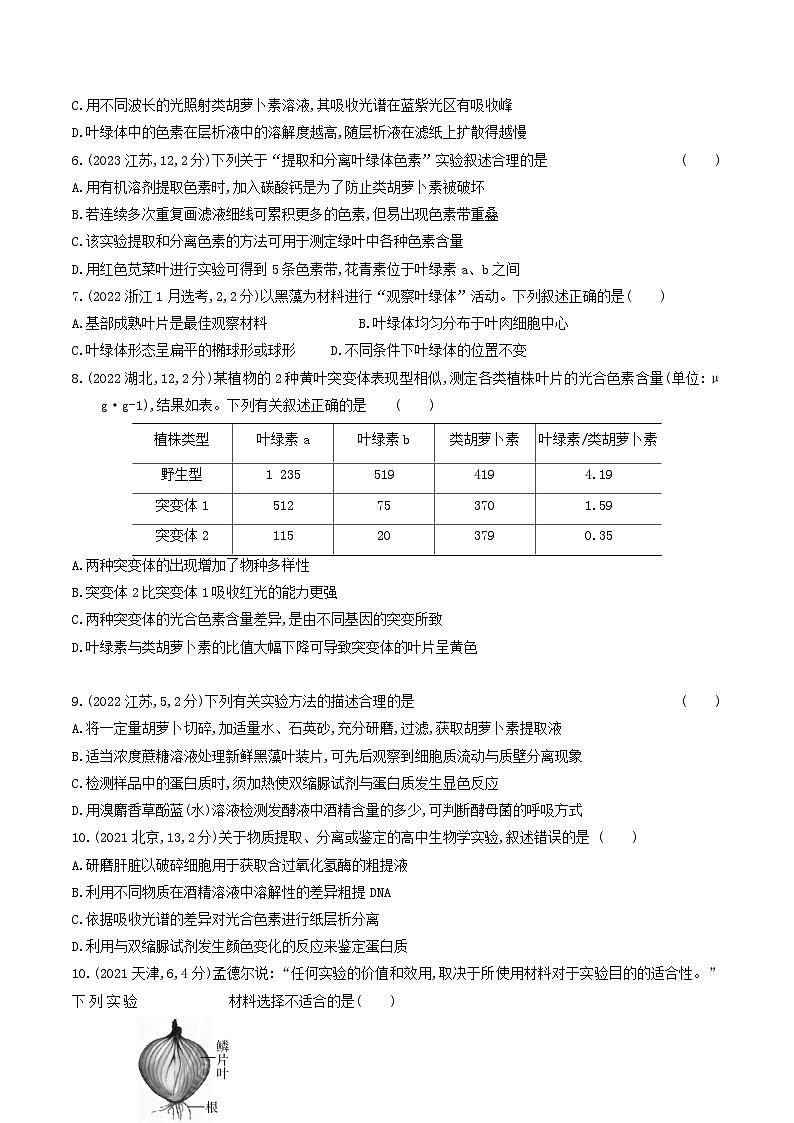 专题06 光合作用(原卷版)第3页