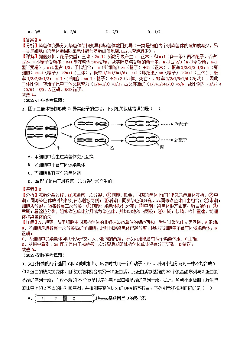 专题13 变异、育种与进化(解析版)第3页