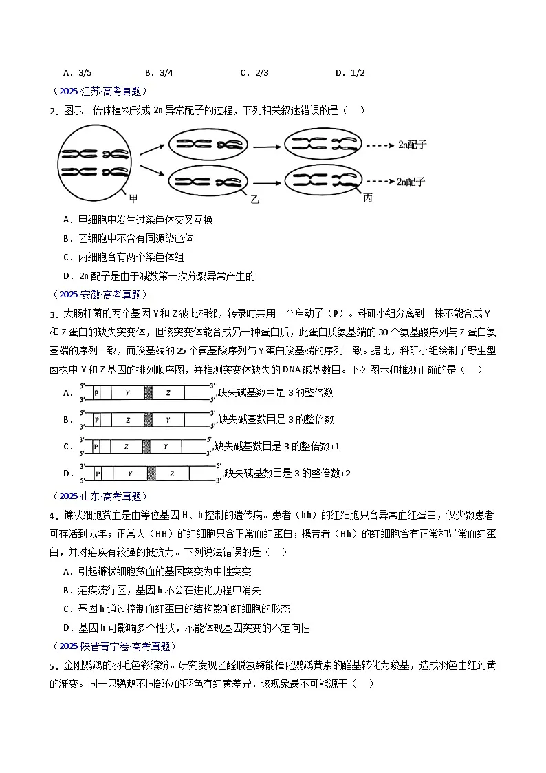 专题13 变异、育种与进化(原卷版)第3页