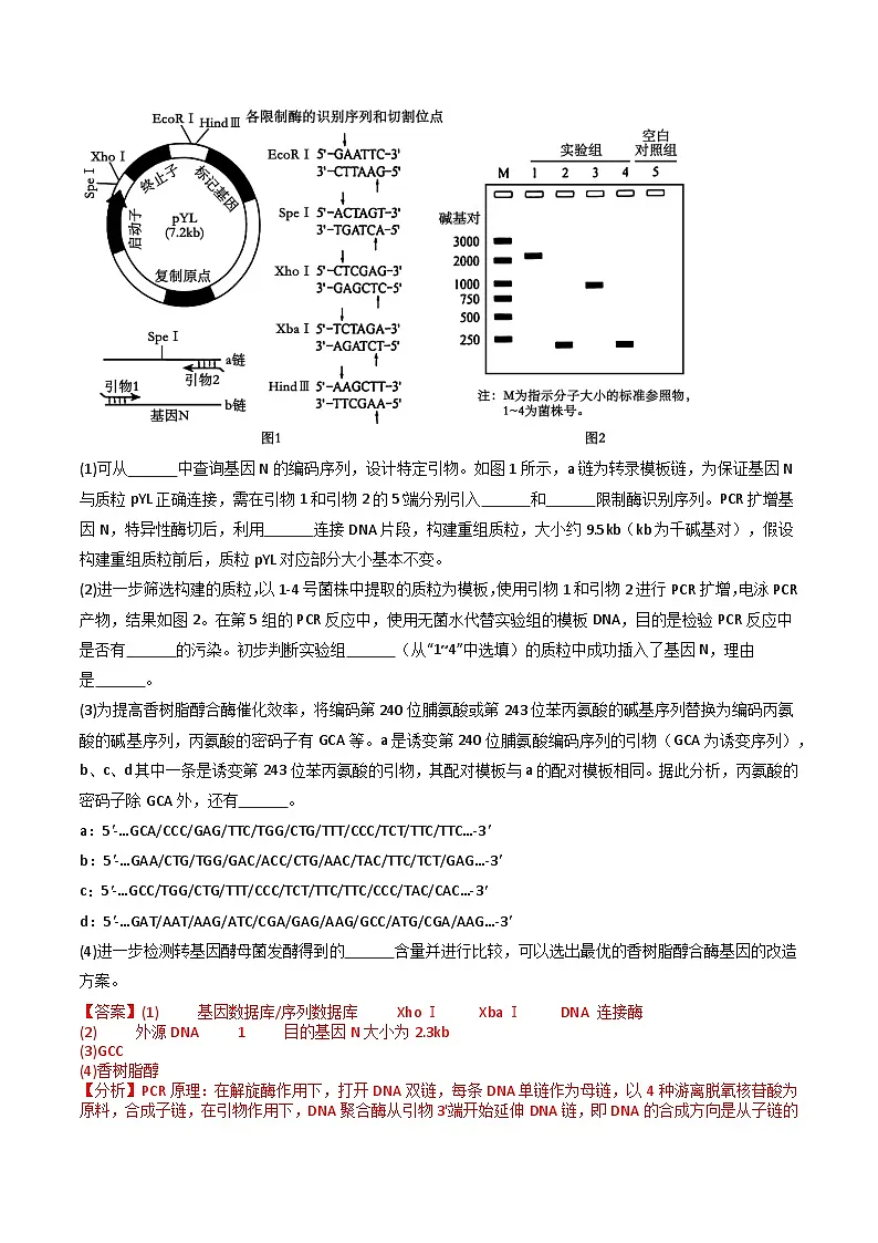 专题23 基因工程(原卷版)第3页