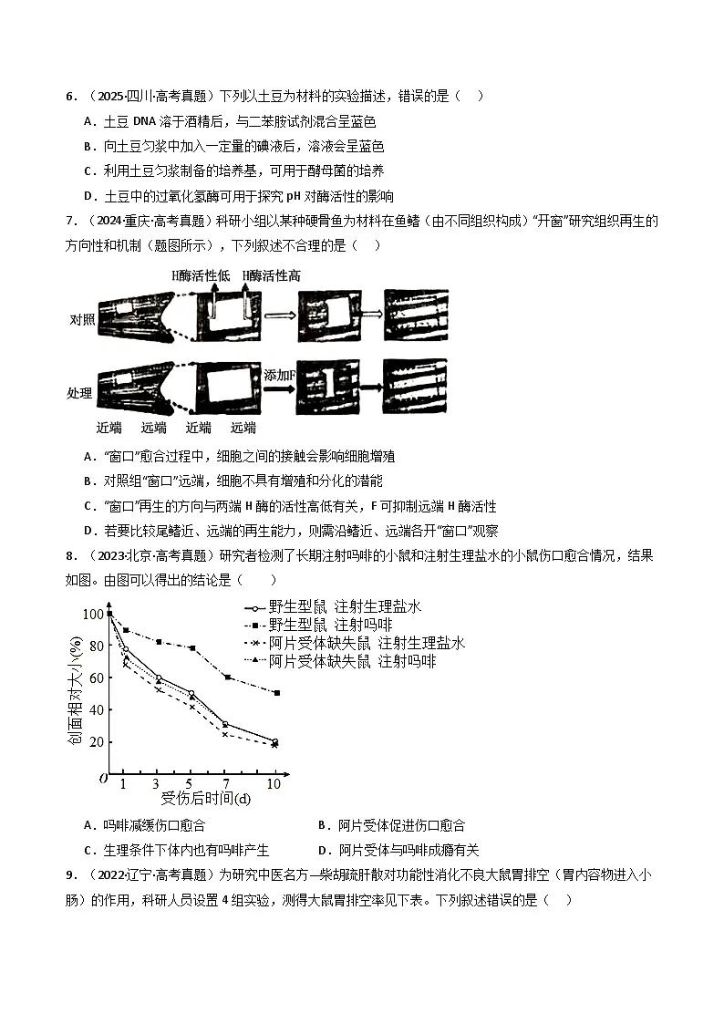 专题24 实验和探究(原卷版)第3页