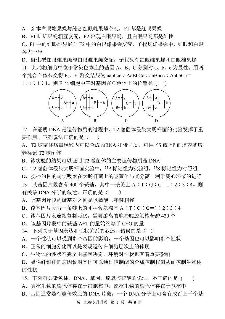 甘肃省张掖市某校2024-2025学年高一下学期6月月考生物试卷第3页