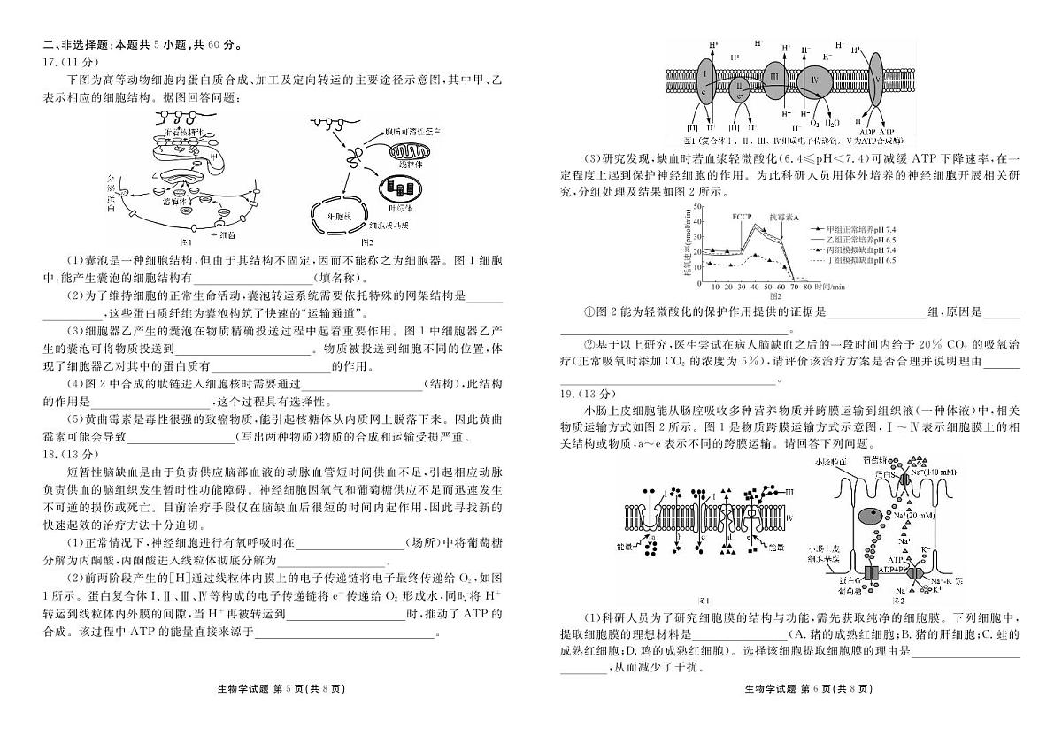 广东省茂名市七校2024-2025学年高一下学期2月月考试题生物试卷+答案第3页