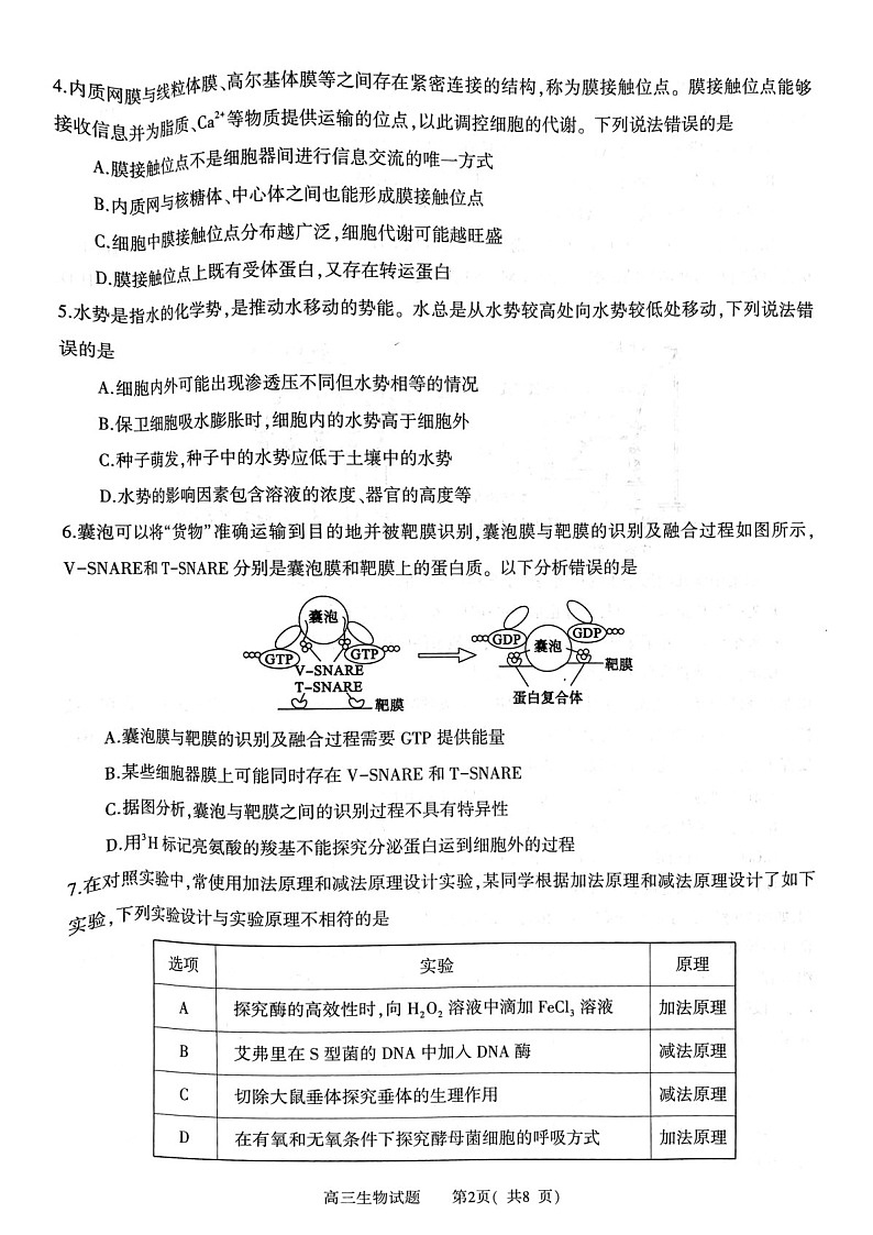 2025届河南省信阳市高三下学期第一次教学质量检测-生物试题(含答案)第2页