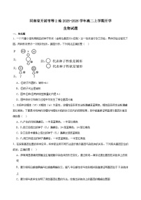 河南省开封市等2地2025-2026学年高二上学期开学考试生物试卷（Word版附答案）