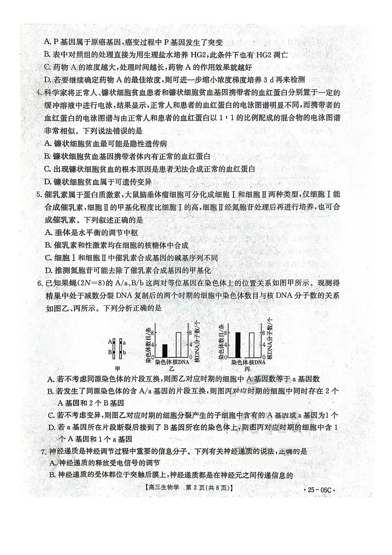 河北省邢台市邢襄联盟2024-2025学年高三上学期开学考试生物试题第2页
