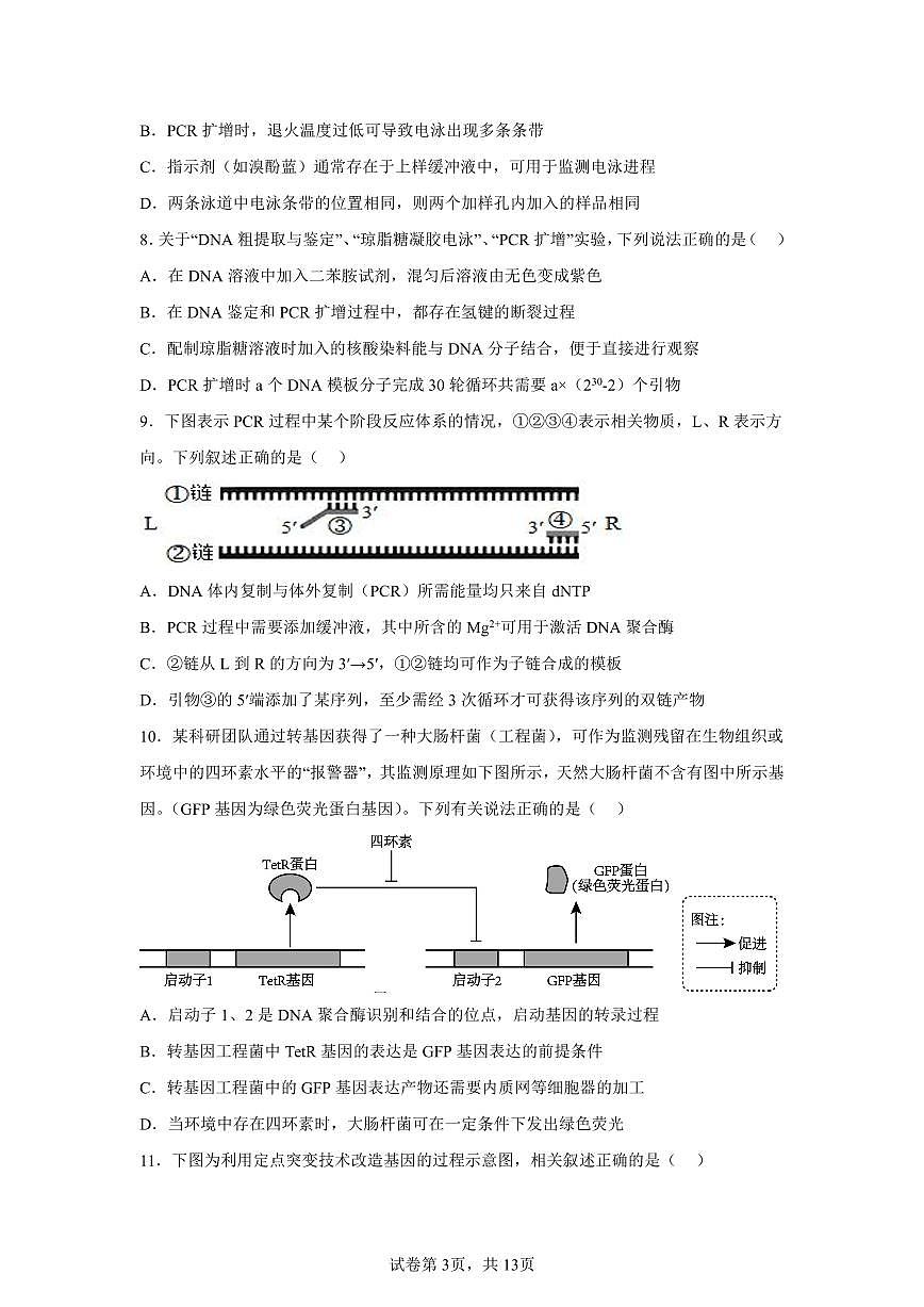 苏苏省南通市如皋市2026届高三上学期8月开学考-生物试题+答案第3页