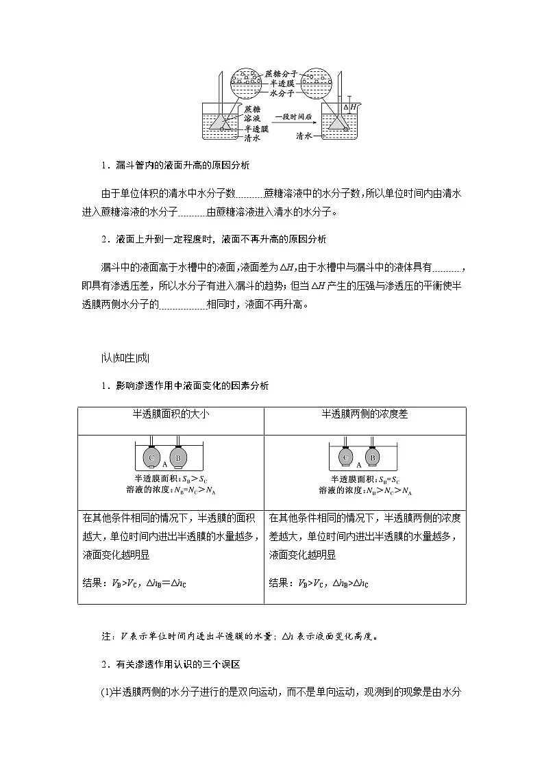 第4章 第1节 被动运输 学案高中生物学人教版(2019)必修1 分子与细胞第2页