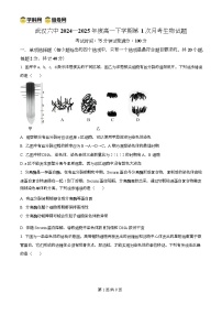 湖北省武汉市第六中学2024-2025学年高一下学期3月月考生物试卷
