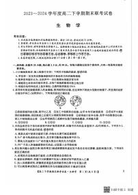 河南省商丘市商师联盟2023-2024学年高二下学期7月期末生物试卷+答案
