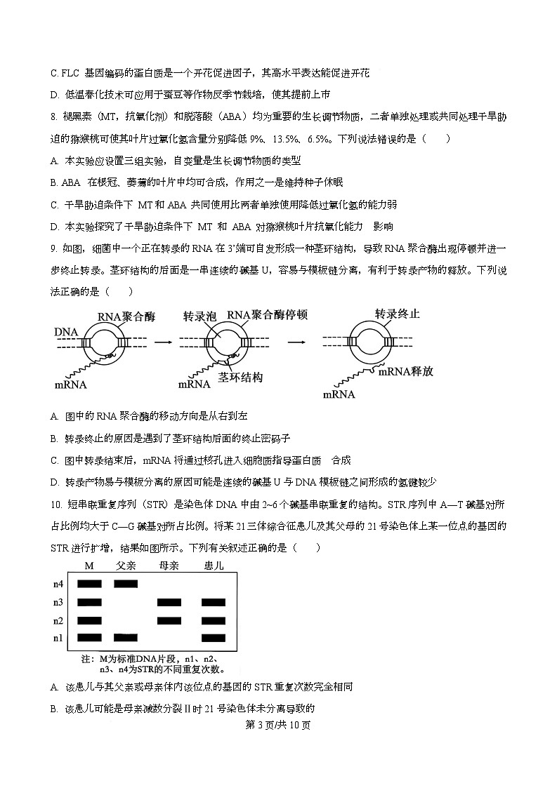 河北省衡水市高中联考2026届高三上学期质检(一)生物第3页