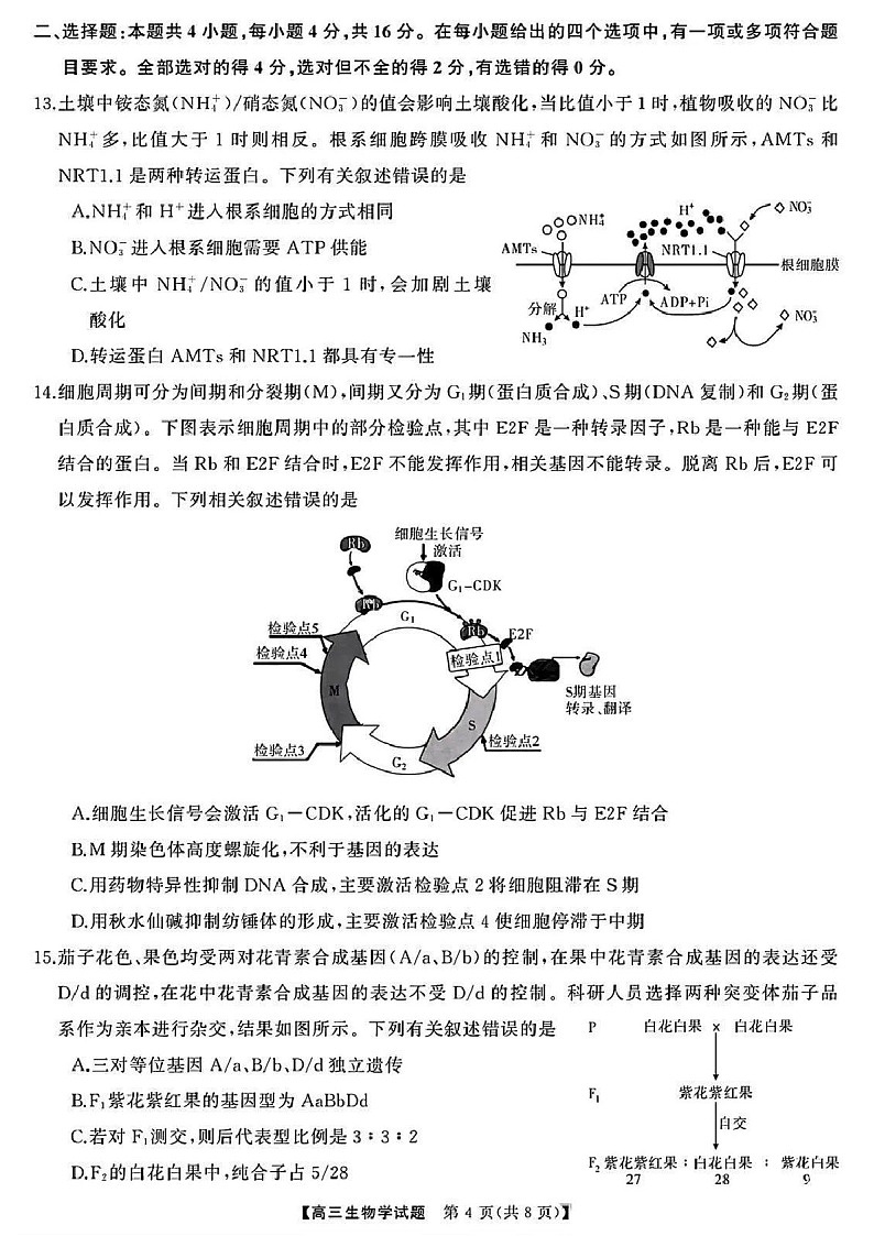 2025届湖南省天壹名校联盟高三下学期10月联考-生物试题(含答案)第3页