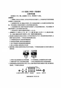 广东省部分学校2024-2025学年高三上学期9月月考生物试题+答案
