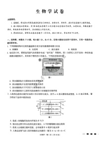 2025届重庆市第八中学高三下学期适应性月考卷-生物试题（含答案）