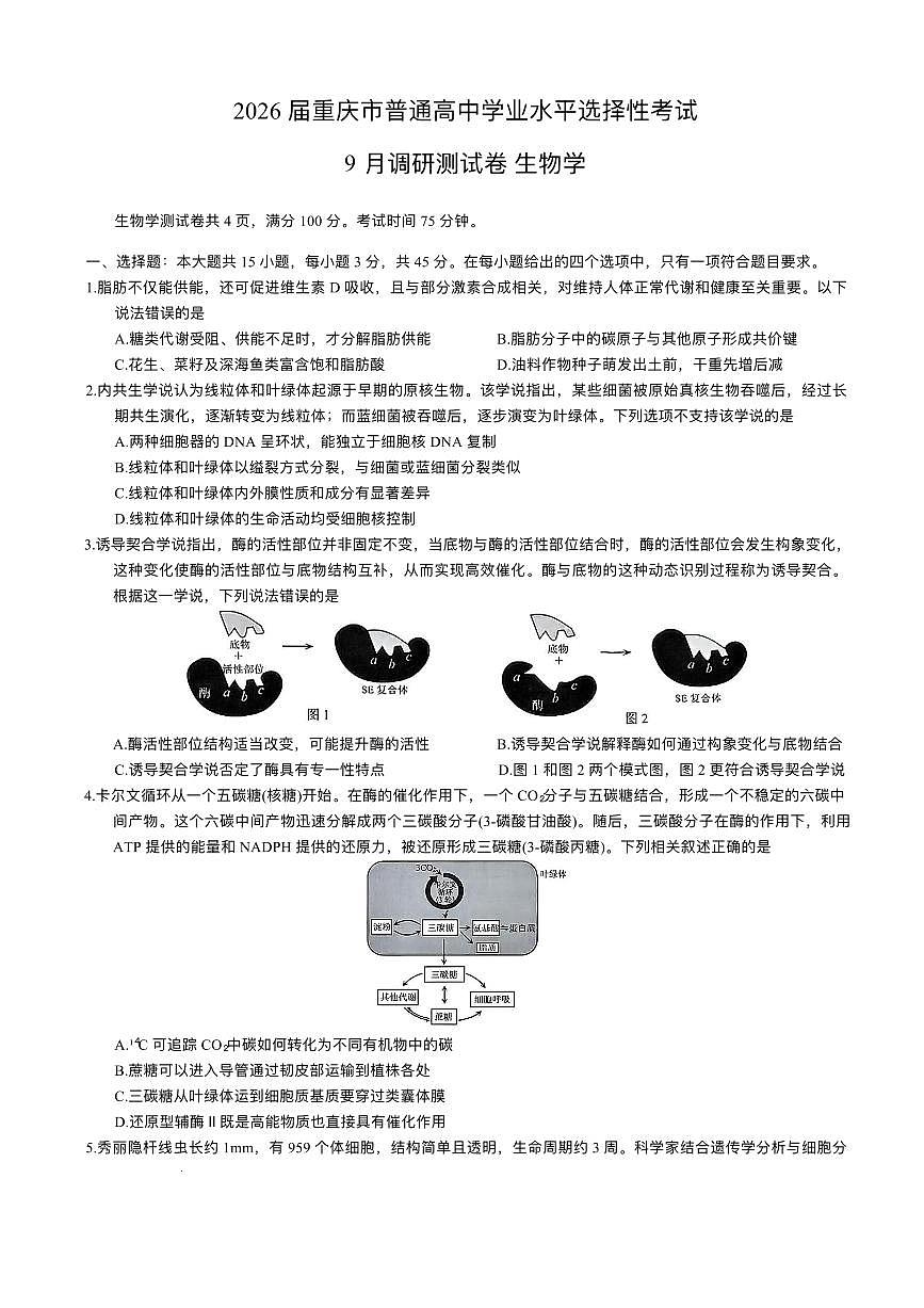 重庆市康德教育2026届高三上学期9月调研测试生物试题(PDF版附解析)第1页