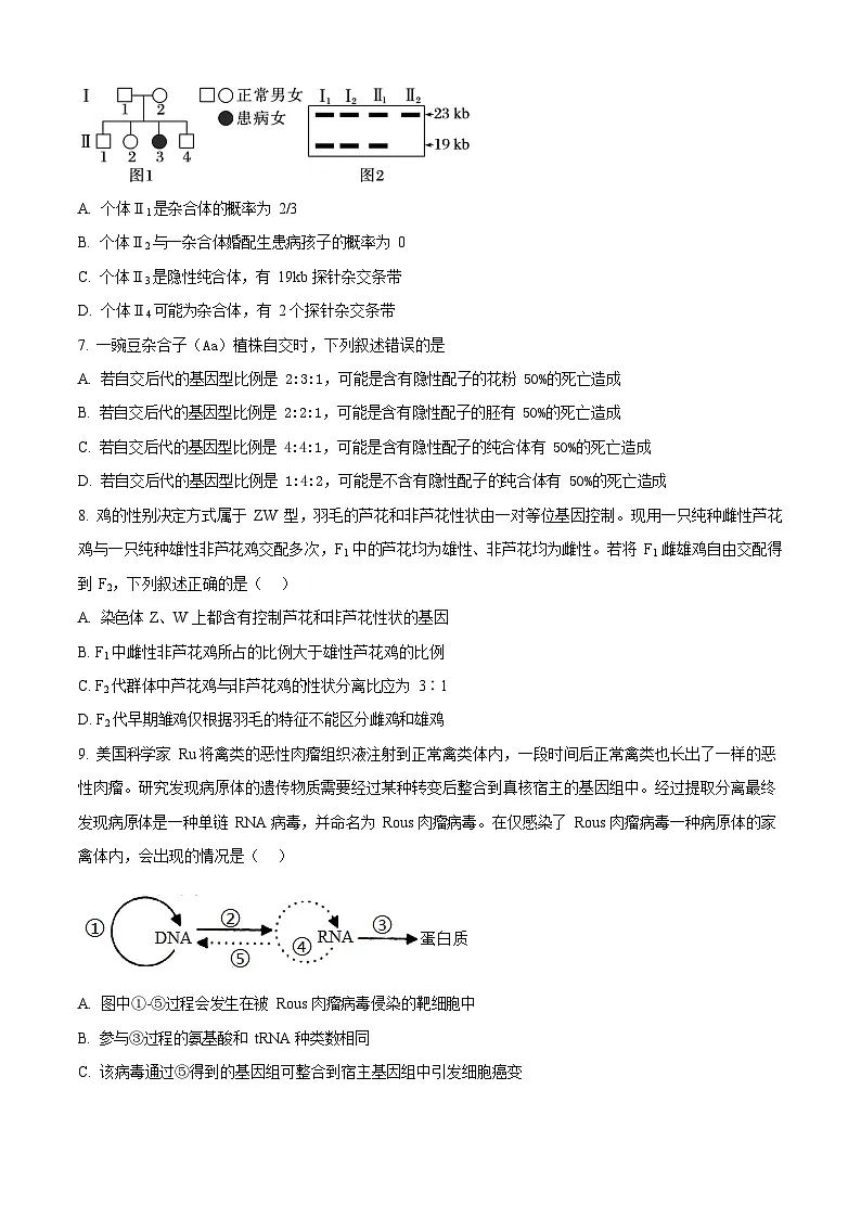 湖南省岳阳市颐华高级中学2025-2026学年高二上学期入学考试生物试卷第3页