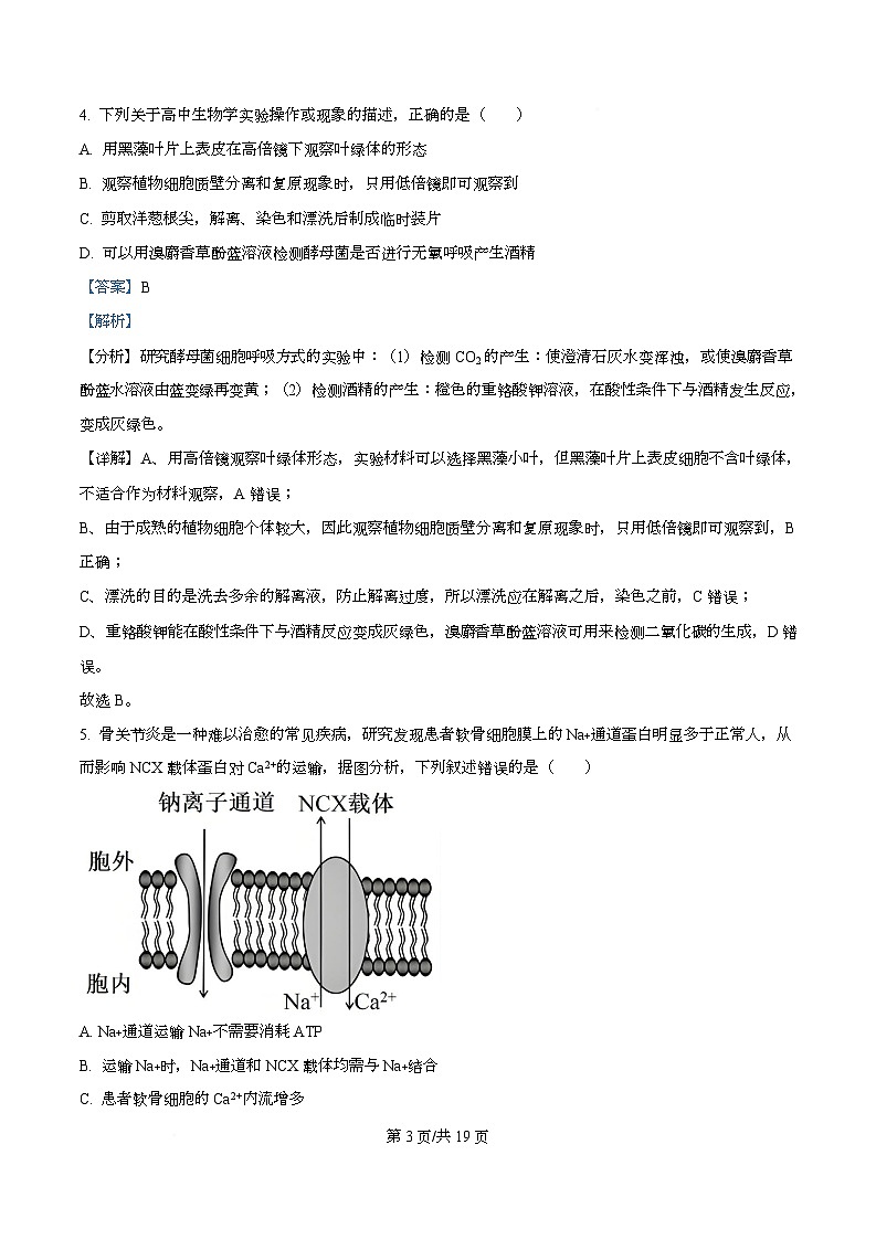 四川省广元市苍溪中学2026届高三上学期9月月考生物试题 Word版含解析第3页