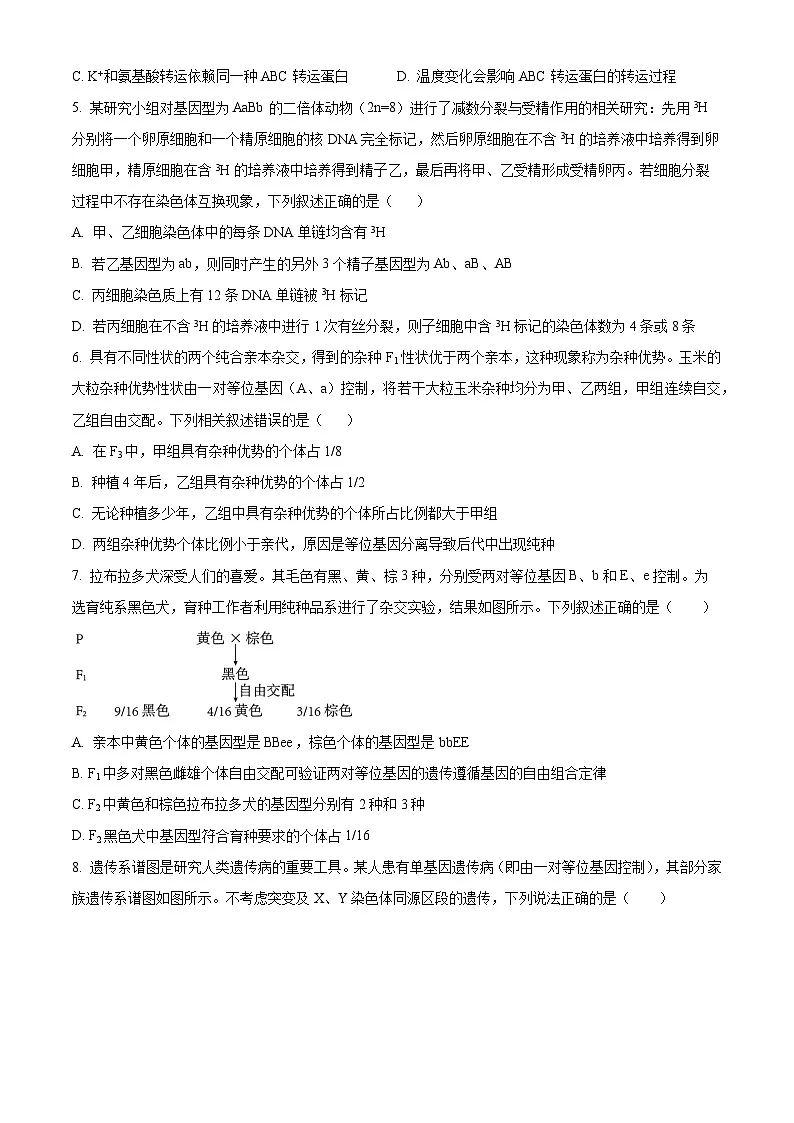 精品解析:安徽省阜阳市临泉县安徽省临泉第二中学2025-2026学年高二上学期开学生物试题(原卷版)第2页