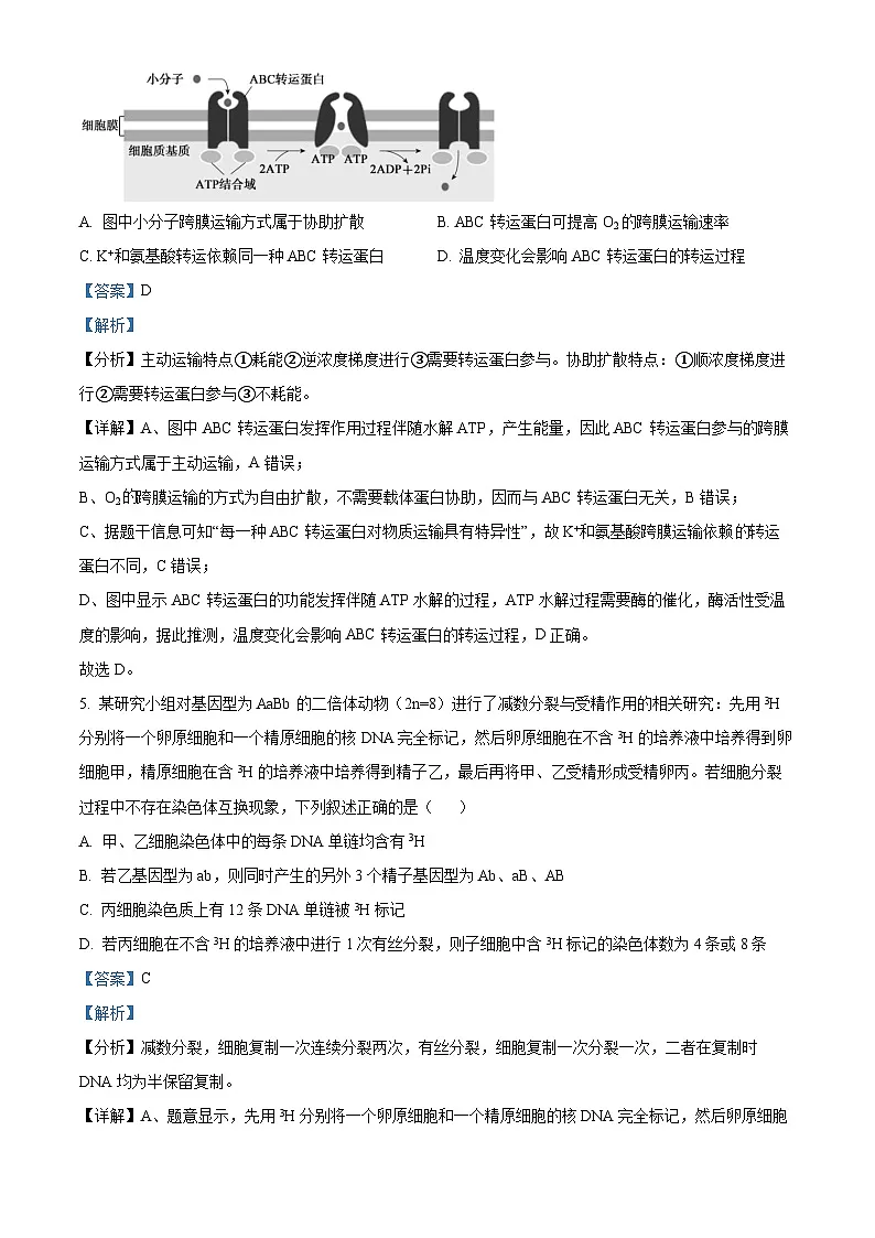 精品解析:安徽省阜阳市临泉县安徽省临泉第二中学2025-2026学年高二上学期开学生物试题(解析版)第3页
