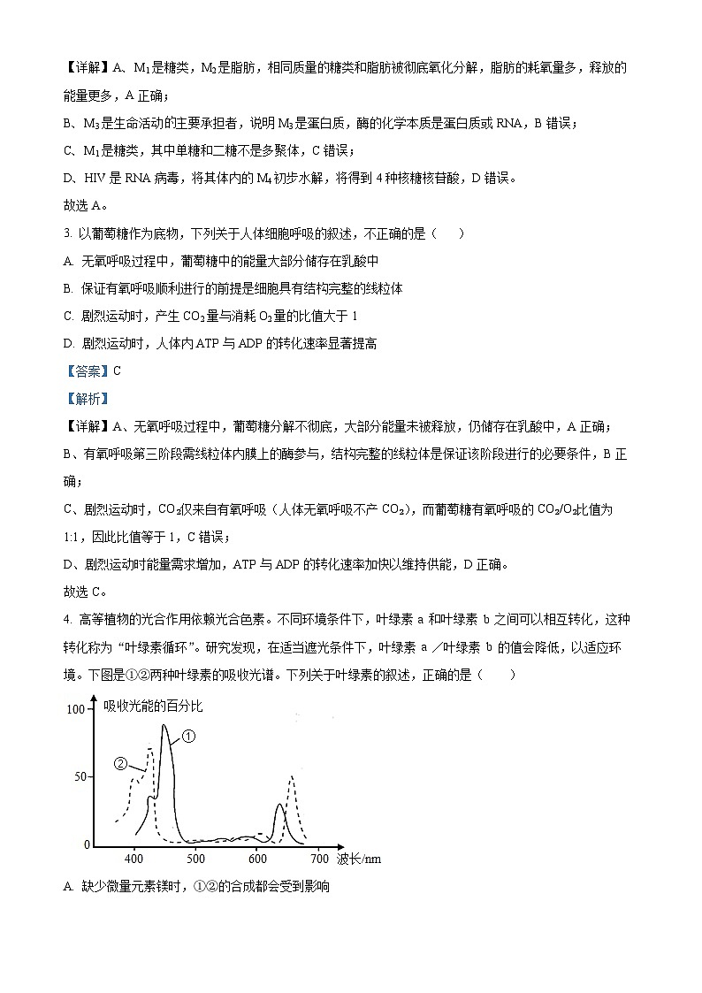 精品解析:宁夏回族自治区石嘴山市惠农区石嘴山市第一中学2025-2026学年高二上学期开学生物试题(解析版)第2页