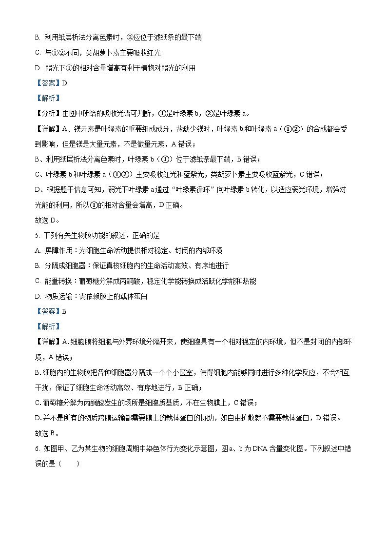 精品解析:宁夏回族自治区石嘴山市惠农区石嘴山市第一中学2025-2026学年高二上学期开学生物试题(解析版)第3页