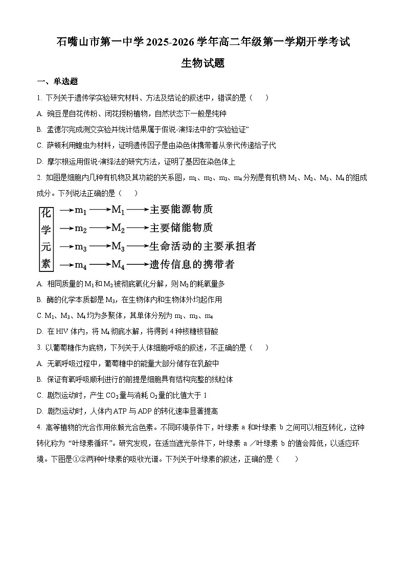 精品解析:宁夏回族自治区石嘴山市惠农区石嘴山市第一中学2025-2026学年高二上学期开学生物试题(原卷版)第1页
