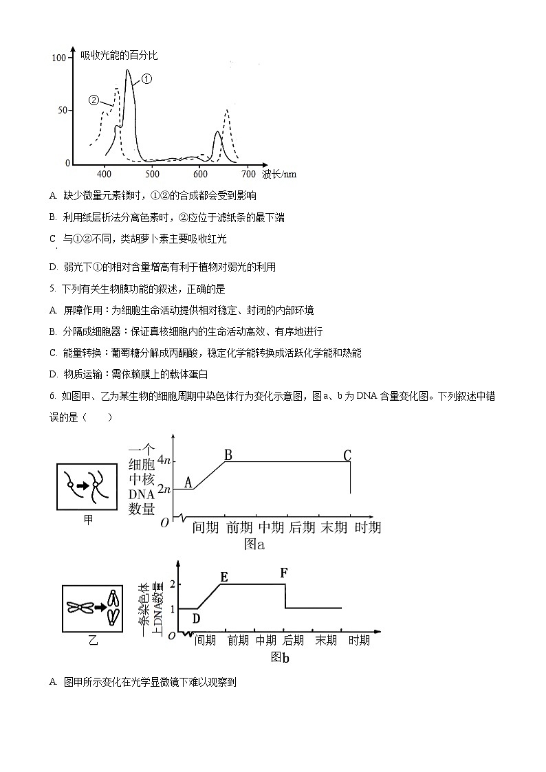 精品解析:宁夏回族自治区石嘴山市惠农区石嘴山市第一中学2025-2026学年高二上学期开学生物试题(原卷版)第2页
