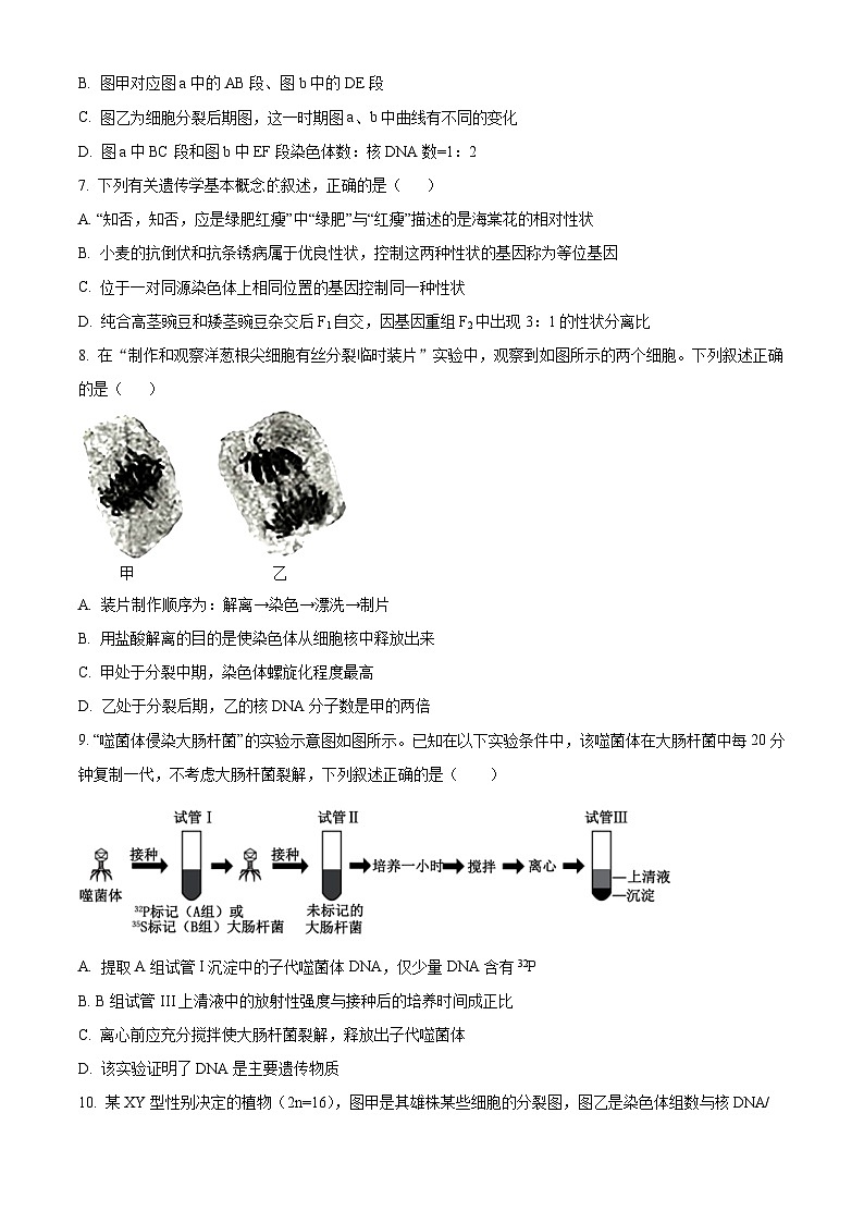 精品解析:宁夏回族自治区石嘴山市惠农区石嘴山市第一中学2025-2026学年高二上学期开学生物试题(原卷版)第3页