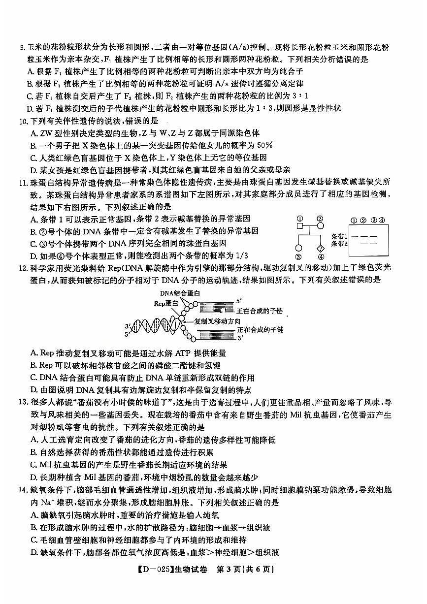 安徽省蚌埠市2024-2025学年高三上学期12月月考生物试题+答案第3页