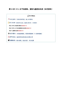 2026年高考生物一轮复习知识讲练(全国通用)第20讲DNA分子的结构、复制与基因的本质(知识清单)(原卷版+解析)