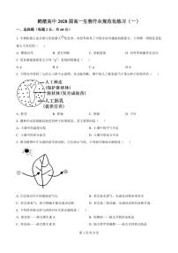 河南省鹤壁市高中2025-2026学年高一上学期作业规范化练习(一)生物试卷