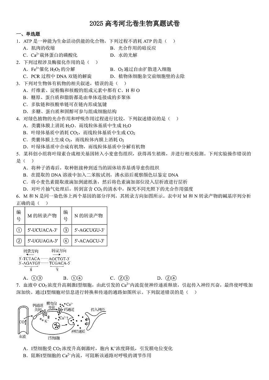 2025年高考河北高考生物真题试题含答案第1页