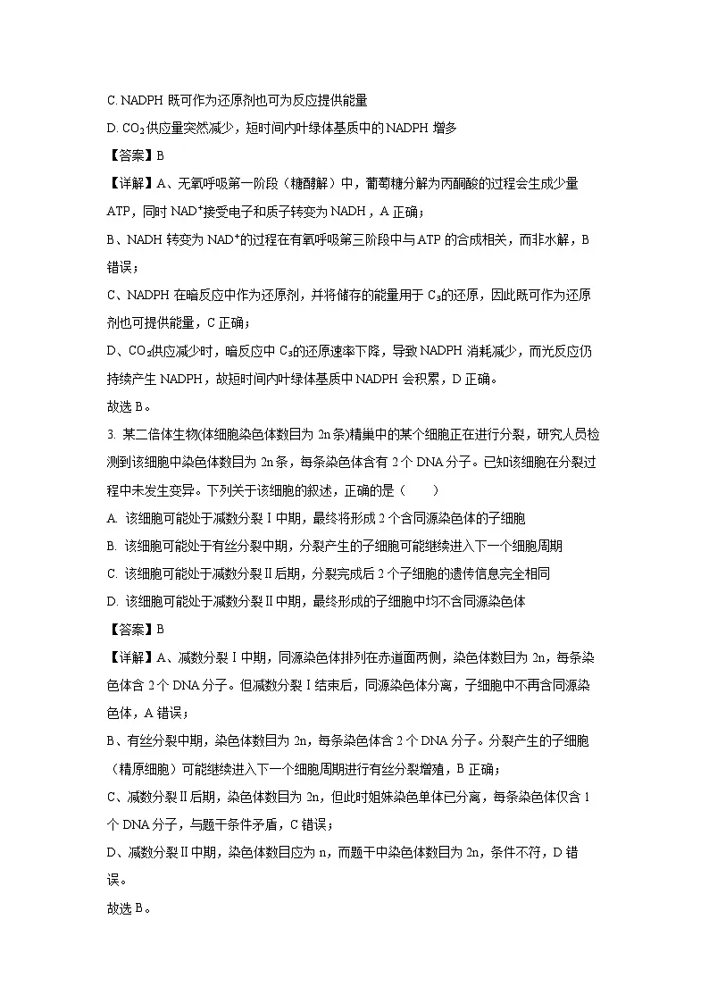 河北省五个一名校联盟2025届高三上第二次联考生物试卷(解析版)第2页