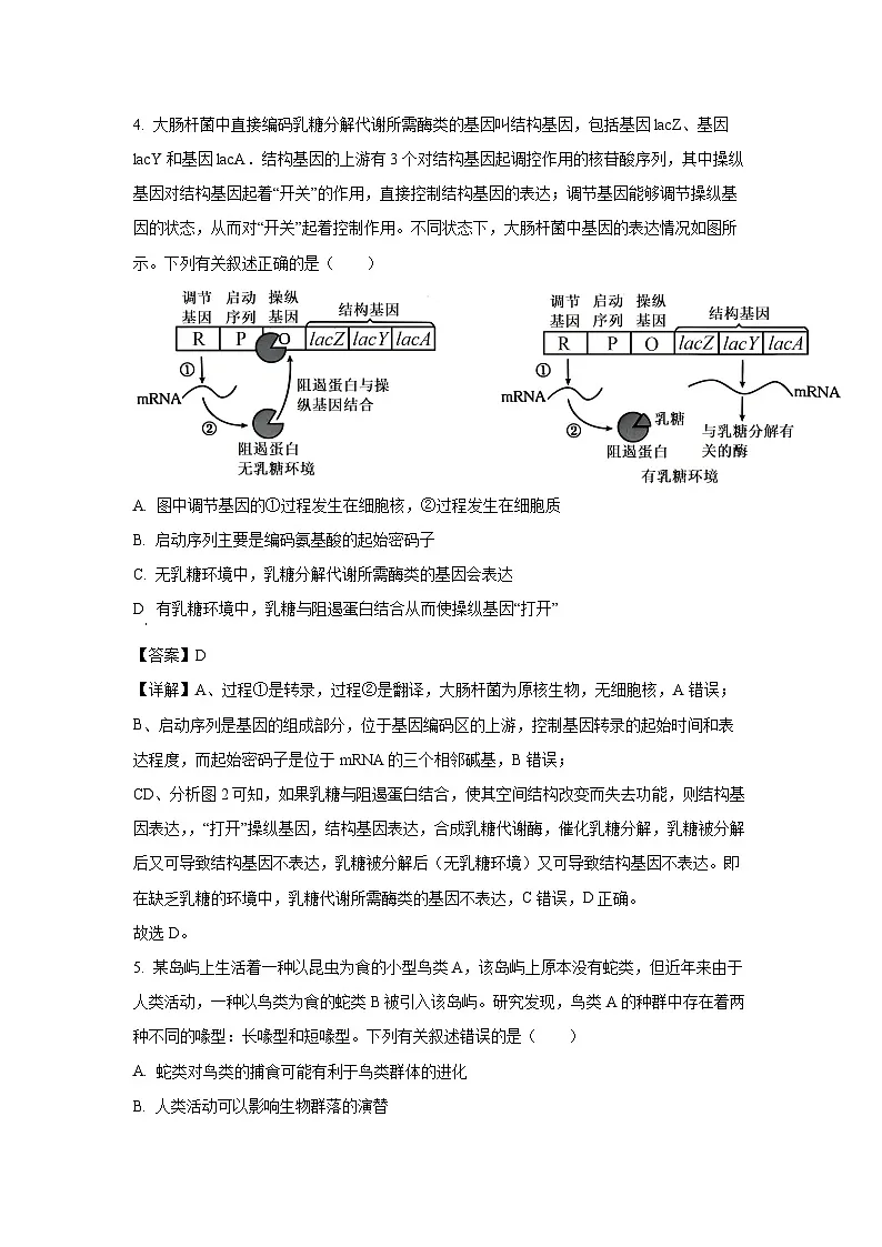 河北省五个一名校联盟2025届高三上第二次联考生物试卷(解析版)第3页