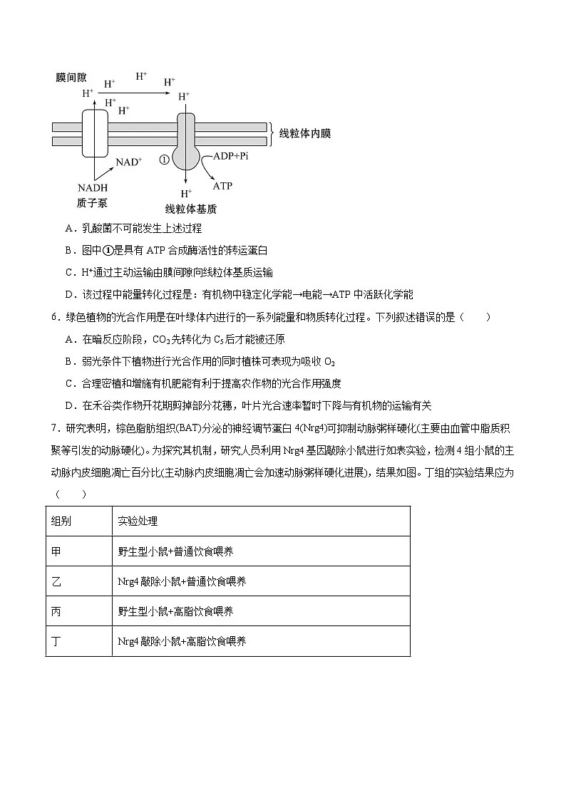 重庆市西北狼教育联盟2025-2026学年高二上学期开学考试生物试卷第2页
