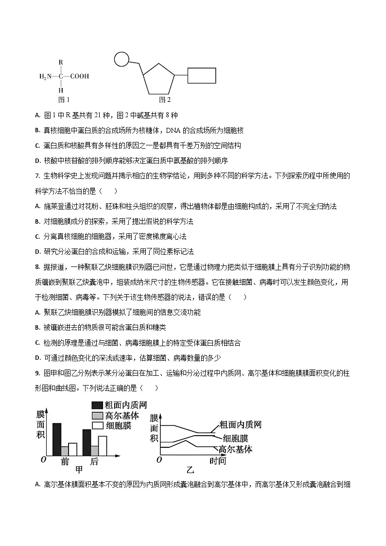 2026梅河口五中高三上学期开学考试生物含答案第3页