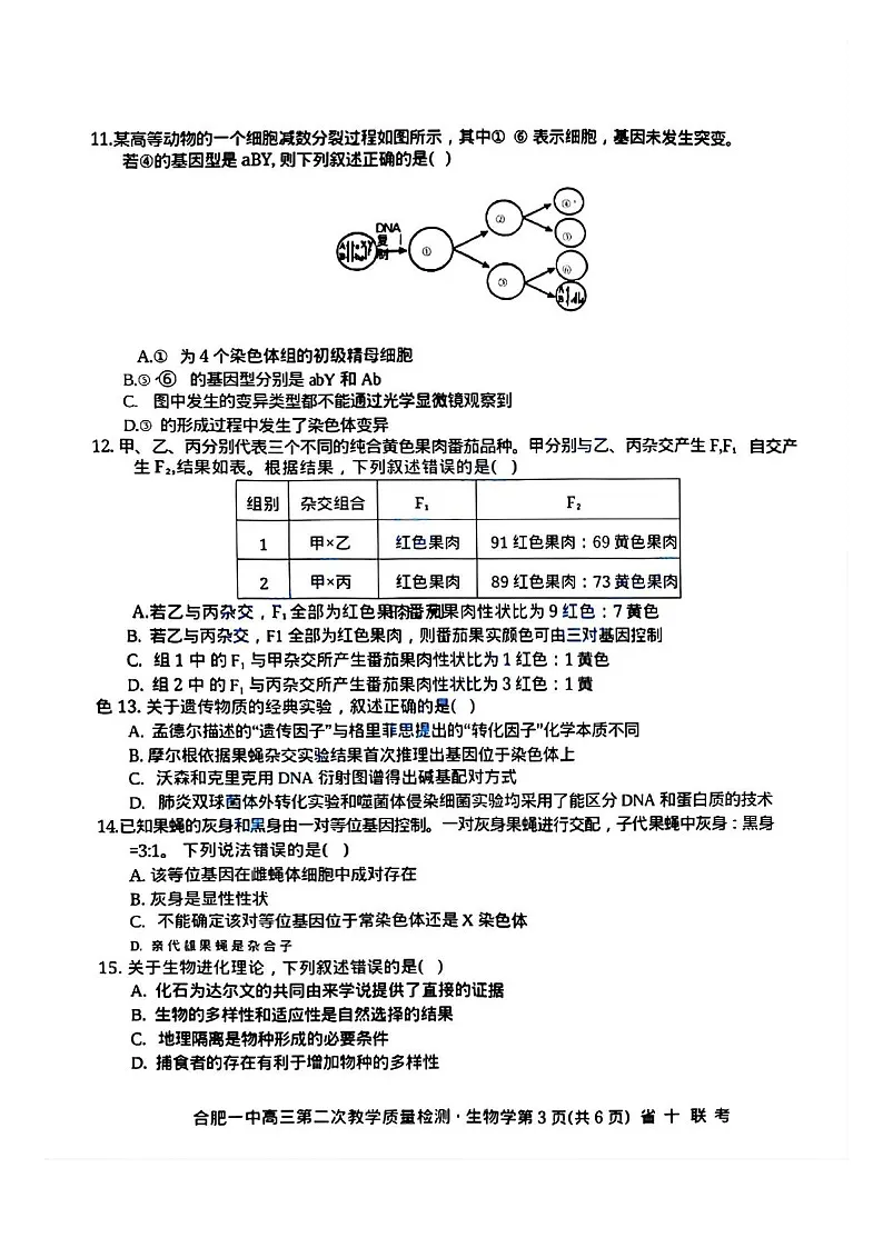 安徽省2025届省十联考高三下学期第二次教学质量检测-生物试卷(学生版)第3页