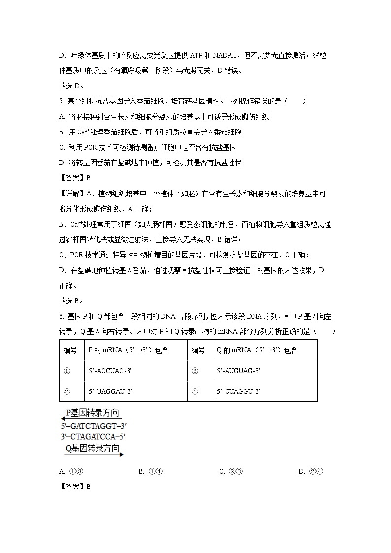 河北省邢台市卓越联盟2025-2026学年高三上学期开学检测生物试卷(解析版)第3页