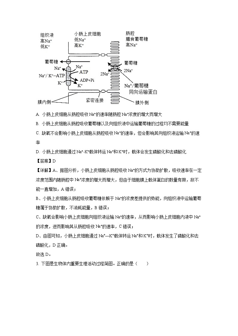 湖南省岳阳市华容县2024-2025学年高一下学期期末考试生物试卷(解析版)第2页