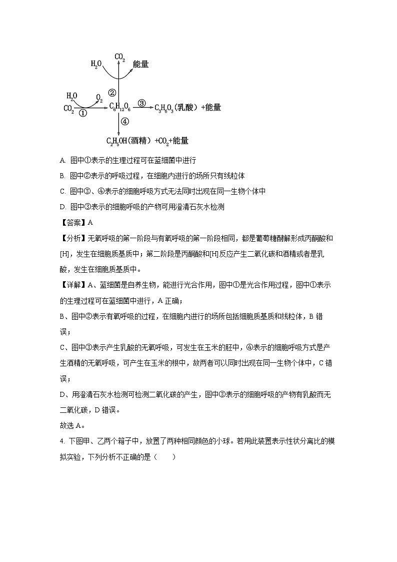 湖南省岳阳市华容县2024-2025学年高一下学期期末考试生物试卷(解析版)第3页