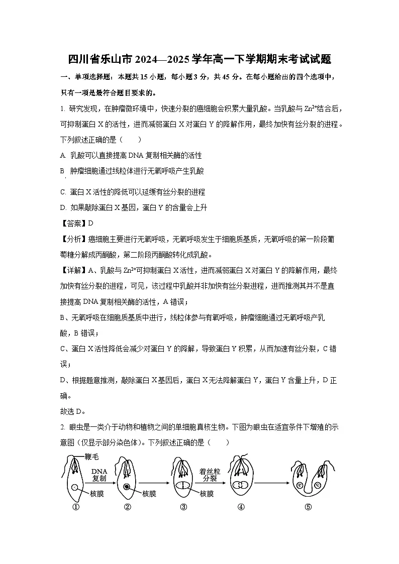 四川省乐山市2024—2025学年高一下学期期末考试生物试卷(解析版)第1页
