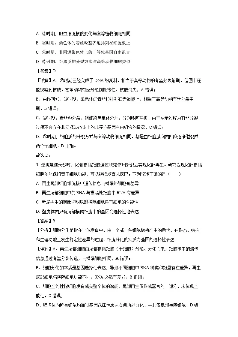 四川省乐山市2024—2025学年高一下学期期末考试生物试卷(解析版)第2页