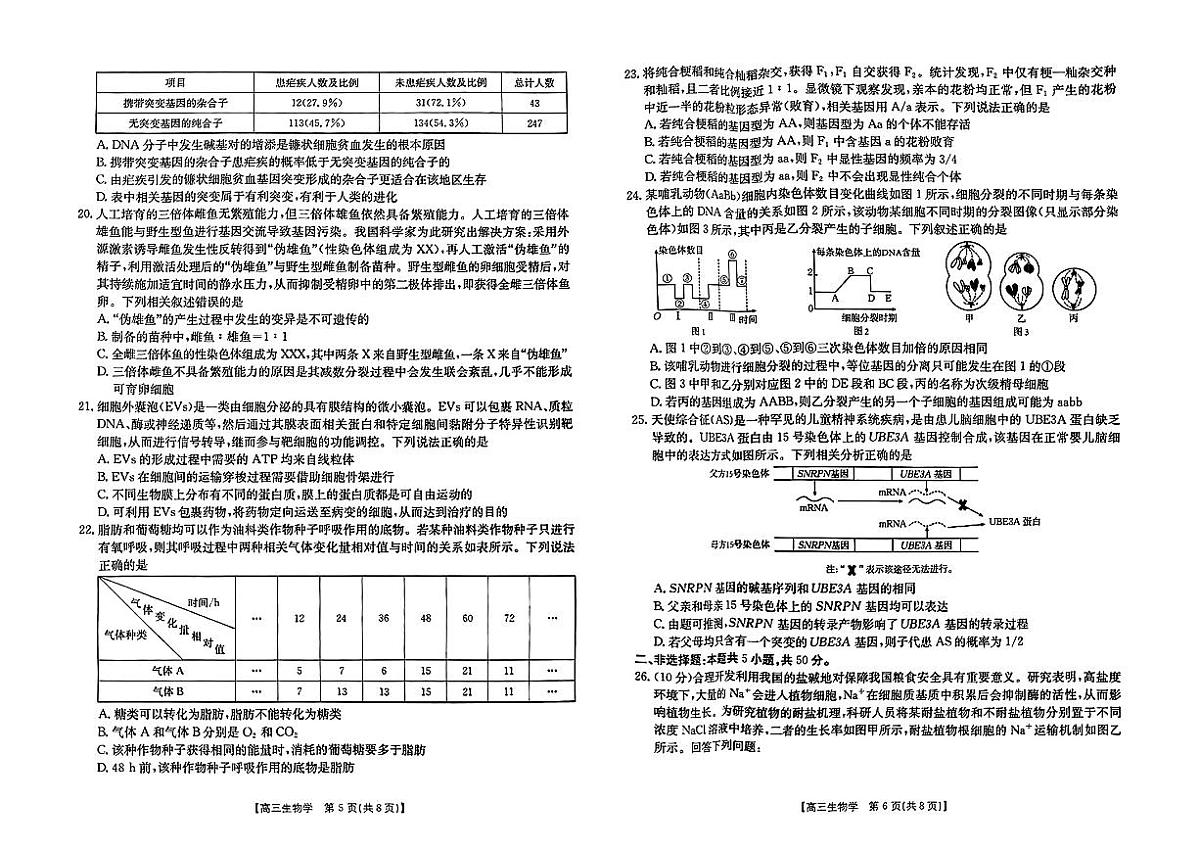 2025届新疆金太阳高三10月联考生物试卷+答案第2页