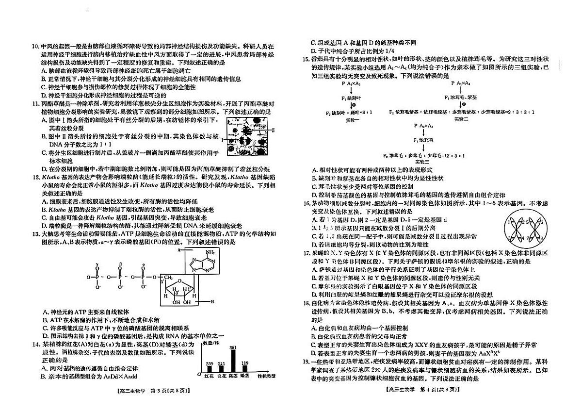 2025届新疆金太阳高三10月联考生物试卷+答案第3页