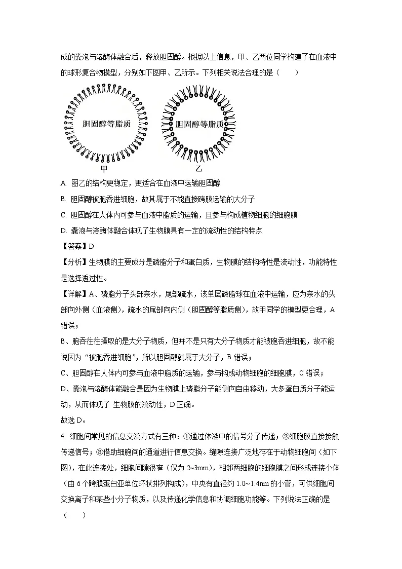 四川省成都市蓉城联盟2024-2025学年高二下学期期末考试生物试卷(解析版)第3页