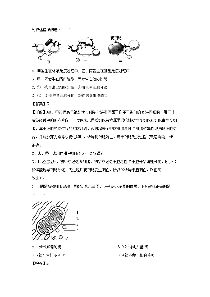 浙江省强基联盟2025-2026学年高三上学期8月联考生物试卷(解析版)第3页