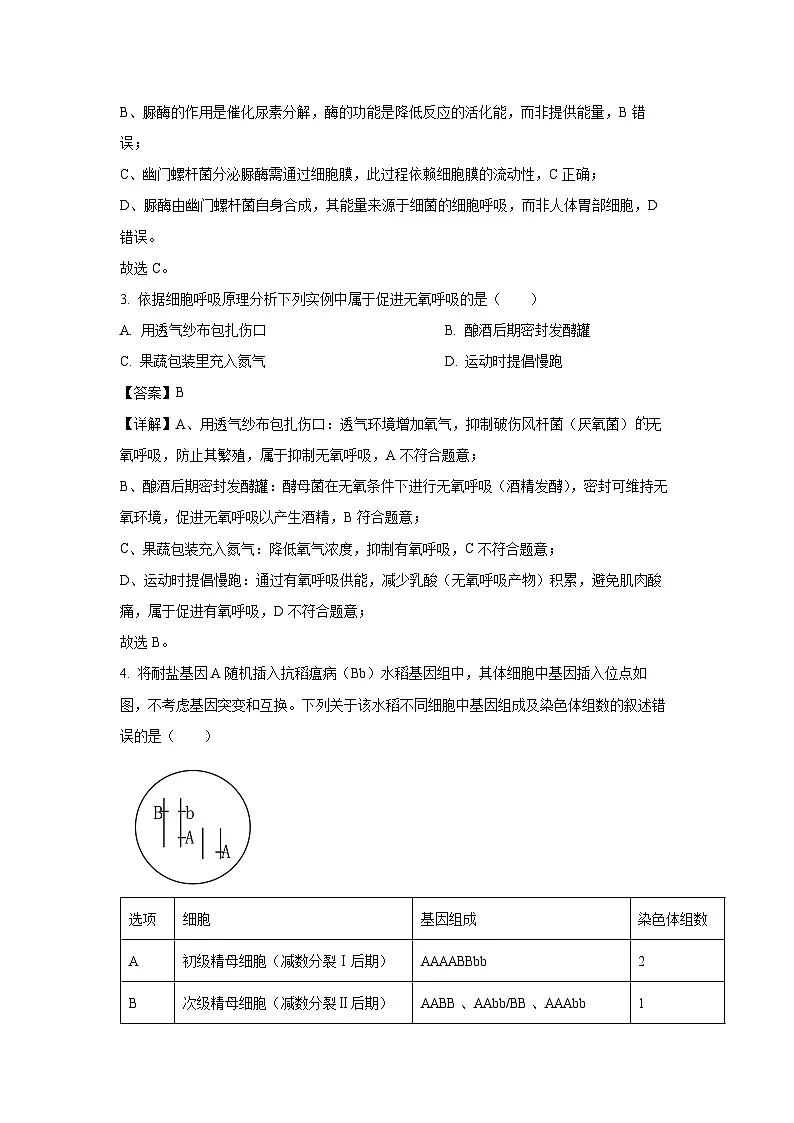 内蒙古自治区锡林郭勒盟2025-2026学年高三上开学考试生物试卷(解析版)第2页