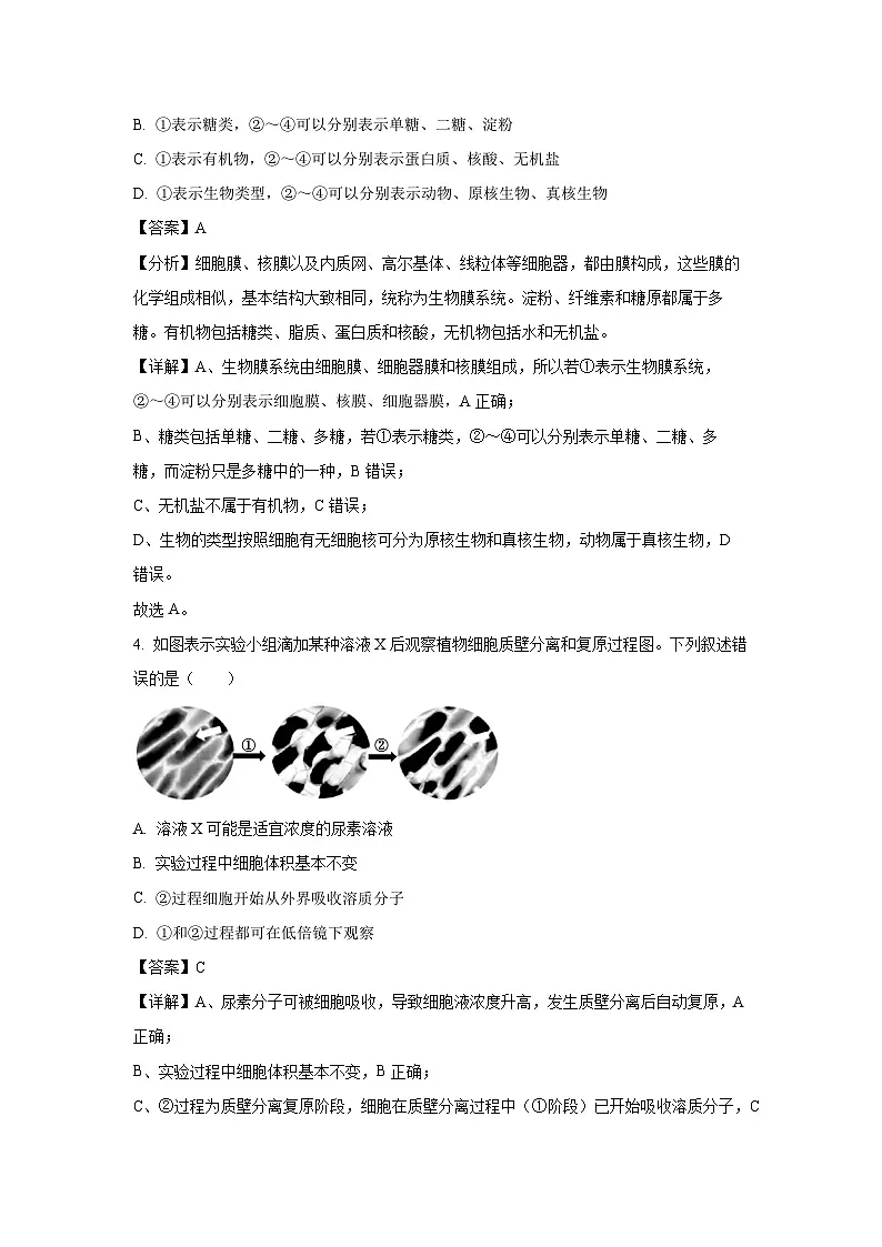 广东省潮州市2025-2026学年高三上学期8月联考生物试卷(解析版)第3页