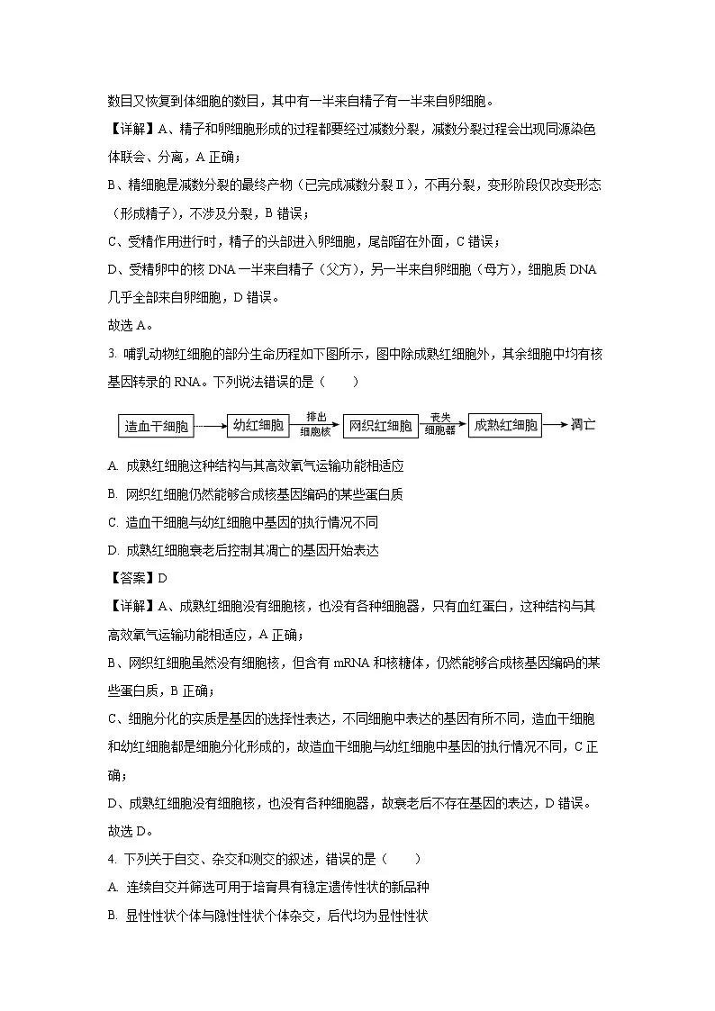 广东省惠州市2024-2025学年高一下期末质量检测生物试题(解析版)第2页