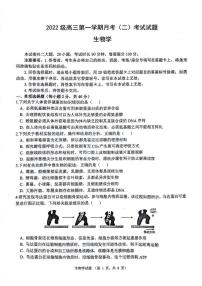2025届陕西省西安市高三上学期11月联考生物试卷+答案